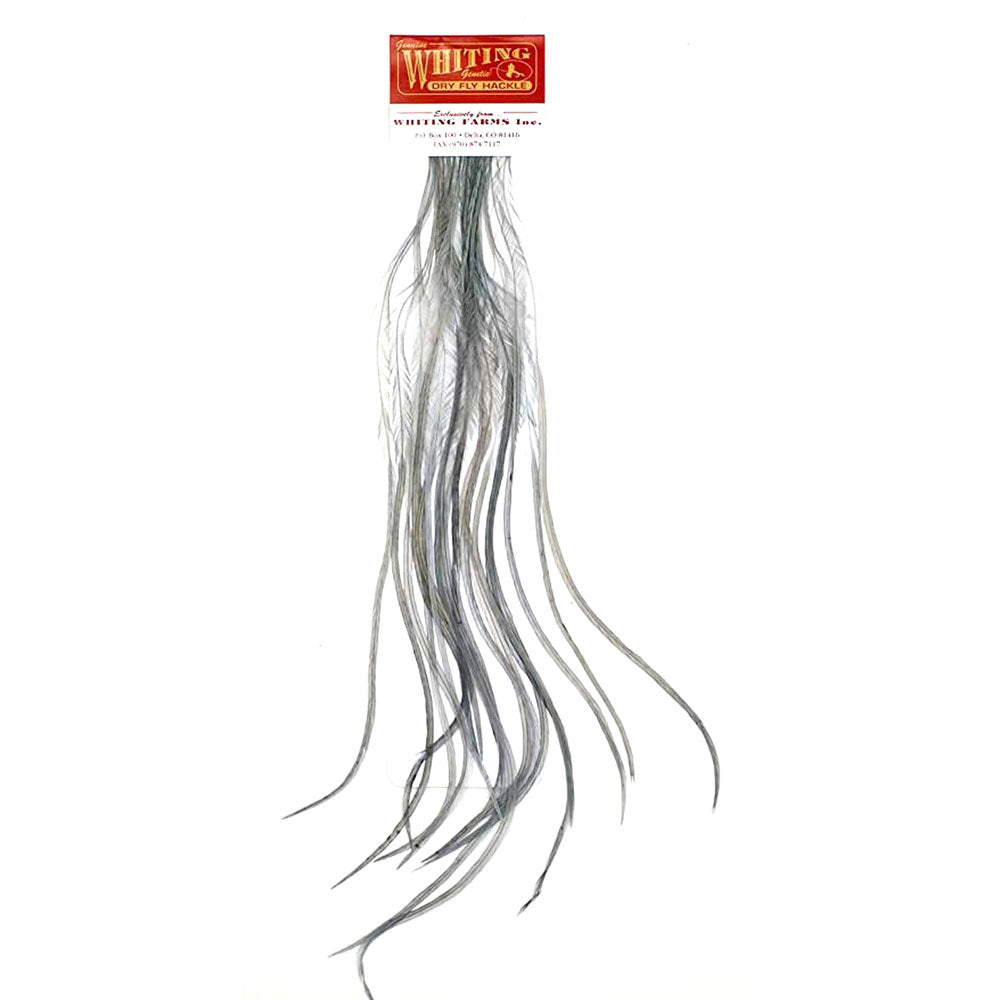 Whiting 100 Saddle Hackle Spring - Medium Dun