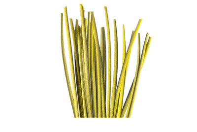 Peacock Quills HAND STRIPPED