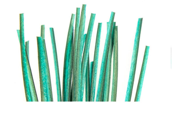 Peacock Quills HAND STRIPPED