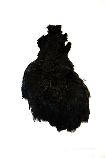 Chevron Pheasant Hen Cape Bellows