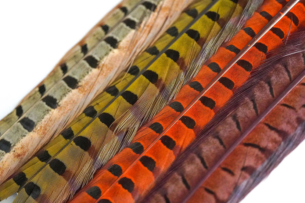 FlyScene Pheasant Shock Spring Pheasant Center Tail