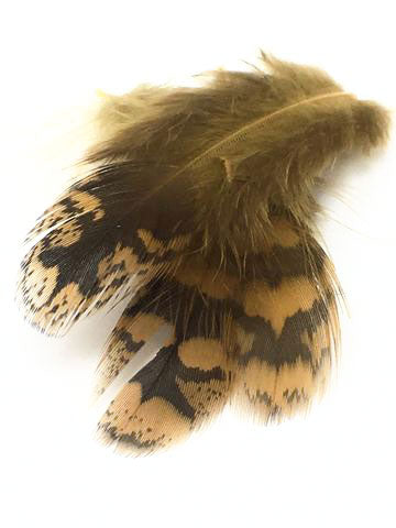 Nature's Spirit Premium Sharptail Grouse feather