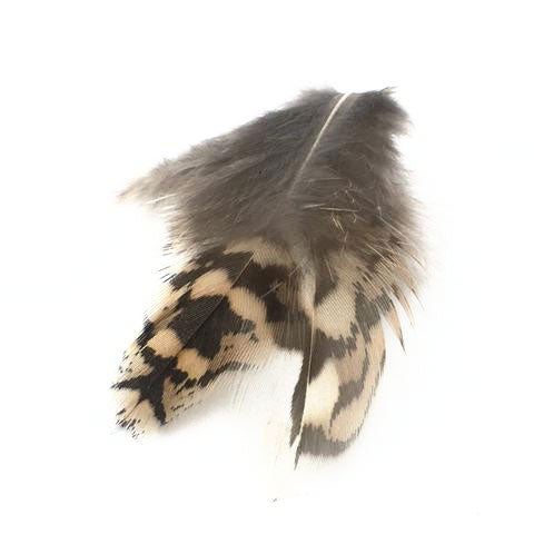 Nature's Spirit Premium Sharptail Grouse feather